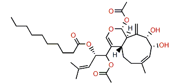 Protoxenicin B